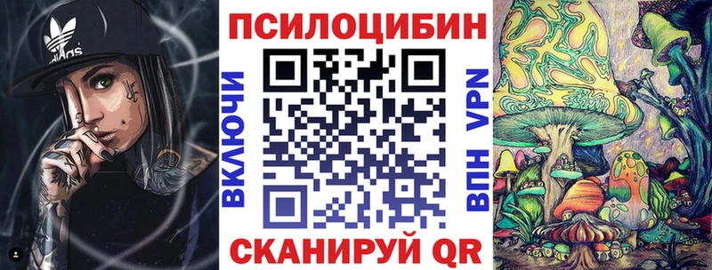 закладки  Суздаль  Псилоцибиновые грибы мицелий 