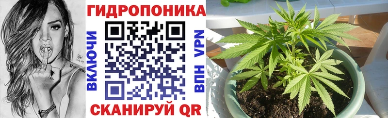 MEGA Суздаль Бошки марихуана VHQ